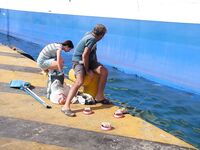 Греция, Аттика: порт Перея и остров Порос — прибрежные наблюдения