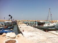 Тунис вместо Италии: прогулочный «троллинг» и реальная ловля с портов