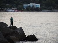 Италия: подводная охота и прикорм — сарган, ставрида и кошки на ужин