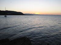 Италия: подводная охота и прикорм — сарган, ставрида и кошки на ужин