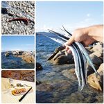 Рыбалка на Сардинии в ноябре: бомбарда, порты и сарган с волнорезов