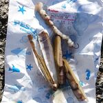 Рыбалка на Сардинии в ноябре: бомбарда, порты и сарган с волнорезов