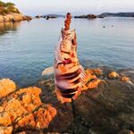 Рыбалка на Сардинии в ноябре: бомбарда, порты и сарган с волнорезов