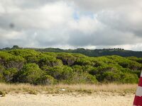 Италия — в этом году не сложилось, но тоска по морю осталась
