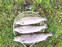 Италия, Лацио вместо Калабрии и Сардинии — фото с форелевого сезона 2020–2021