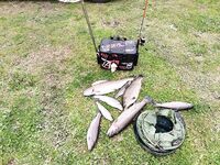 Италия, Лацио вместо Калабрии и Сардинии — фото с форелевого сезона 2020–2021