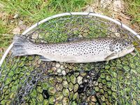 Италия, Лацио вместо Калабрии и Сардинии — фото с форелевого сезона 2020–2021