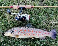 Италия, Лацио вместо Калабрии и Сардинии — фото с форелевого сезона 2020–2021