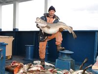 Норвежские шхеры: собираю свежие советы по снастям и точкам