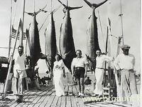 Перу, Тумбес: тунец, махи-махі и тяжёлый троллинг в холодном Хумбольде