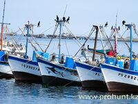 Перу, Тумбес: тунец, махи-махі и тяжёлый троллинг в холодном Хумбольде