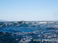 Перу, Тумбес: тунец, махи-махі и тяжёлый троллинг в холодном Хумбольде