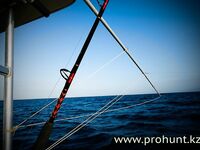 Перу, Тумбес: тунец, махи-махі и тяжёлый троллинг в холодном Хумбольде