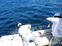 Перу, Тумбес: тунец, махи-махі и тяжёлый троллинг в холодном Хумбольде