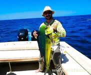 Перу, Тумбес: тунец, махи-махі и тяжёлый троллинг в холодном Хумбольде