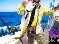 Перу, Тумбес: тунец, махи-махі и тяжёлый троллинг в холодном Хумбольде