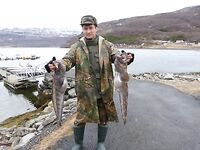 Северная Норвегия, начало мая: мало трески во фьорде, погода неустойчива