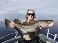 Северная Норвегия в мае: отчёт о поездке — краткая отметка