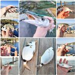 Отель LABRANDA Ephesus Princess: мелкая рыба, минус поплавок и два пилькера