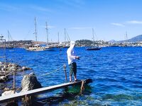 Бодрум, рядом с круизным портом: глубина, сарган мелькает, снасти целы — кот сыт