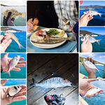 Торба, пирс 4–5 м: лаврак на виду, мелочь клюет всегда, кефаль у кафешки на отходах