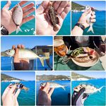 Торба, пирс 4–5 м: лаврак на виду, мелочь клюет всегда, кефаль у кафешки на отходах