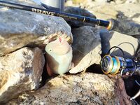 Торба, север Эгейского, Турция: пилькер с берега и советы про берегового тунца