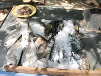 Шри-Ланка: местные просят помочь с сетью — делюсь их уловами