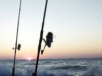 Плоская сегодня клюёт: рассветный выход и четвёртые сутки ловли