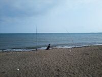 Крым и Азов: две пачки червя, трава и ветер — без рыбы в обоих морях