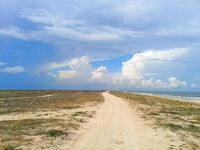 Арабатская Стрелка — берег и линия прибоя для пеленгаса, фото места