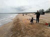 Просьба к коллеге: фото оснастки с грузом, локация Казантип, май