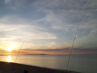 Татарка сейчас: оперативная отметка по прибою