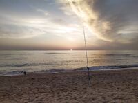 Утренний выход: проверяю берег и рабочие дистанции