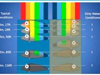 SurfCasting: как рыба видит цвет и почему под водой всё иначе