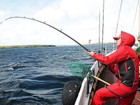 Чемпионат Европы с катеров: смотрим палки, в работе морской фидер 300–1200 г