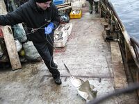 Балансиры и себестоимость: расходники должны быть недорогими — вывод