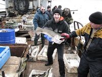 Балансиры и себестоимость: расходники должны быть недорогими — вывод