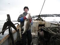 Балансиры и себестоимость: расходники должны быть недорогими — вывод