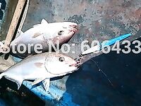 Пилькеры с «дыркой»: стоит ли брать — вопрос на практике и по отзывам