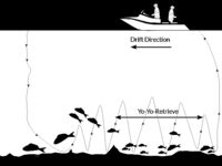 Inchiku bottom ship с али: покрывать ли «пустые» и зачем нижнее ушко