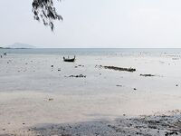 Пхукет, общий улов 6,5 кг: кадры с борта и результат на всех