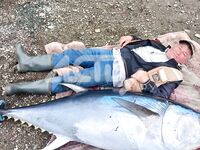 Татарский пролив и тунцовый сезон Сахалина: холмский трофей 112 кг и «мелочь» 50+