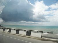 Абхазия, фото-отчёт: дорога, парки, хозяйства и неизбежный рокфишинг