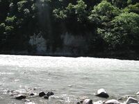 Абхазия, фото-отчёт: дорога, парки, хозяйства и неизбежный рокфишинг