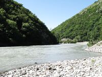 Абхазия, фото-отчёт: дорога, парки, хозяйства и неизбежный рокфишинг