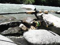 Абхазия, фото-отчёт: дорога, парки, хозяйства и неизбежный рокфишинг