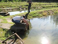 Абхазия, фото-отчёт: дорога, парки, хозяйства и неизбежный рокфишинг