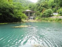 Абхазия, фото-отчёт: дорога, парки, хозяйства и неизбежный рокфишинг