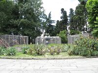 Абхазия, фото-отчёт: дорога, парки, хозяйства и неизбежный рокфишинг